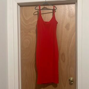 Express Bodycon dress
